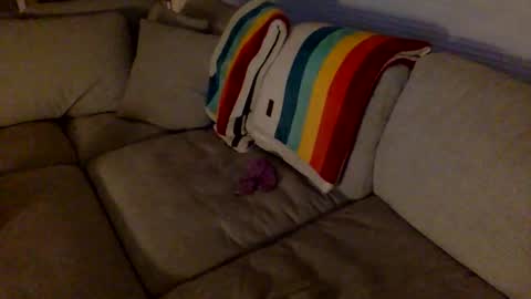 janicepepper online show from 12.18.25