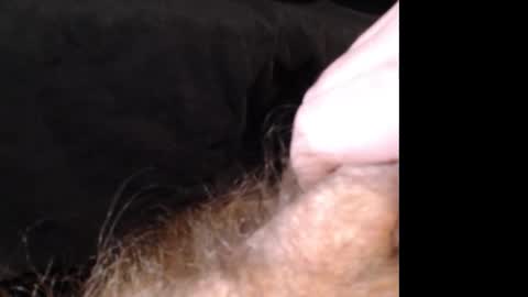 Jason online show from 12.14.24