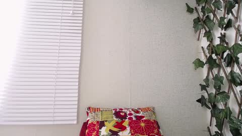 JKing  online show from 01.08.25