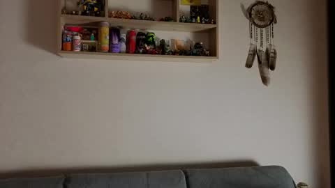 Snapshot of jastinpet chatting on 11.13.25 jastinpet online show from 11.13.25