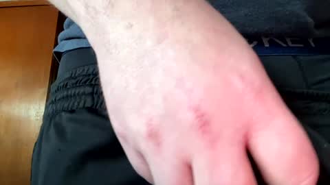 Jaws  online show from 12.30.24