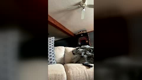 Jaws  online show from 01.05.26