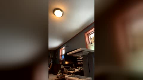 Snapshot of jawssharkparty chatting on 01.17.26 Jaws online show from 01.17.26