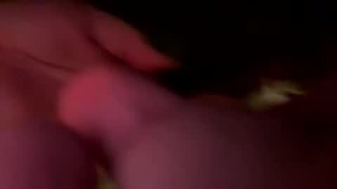 Snapshot of jawssharkparty chatting on 02.21.26 Jaws online show from 02.21.26