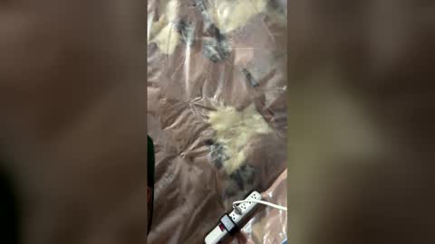 jaxsona online show from 04.18.26