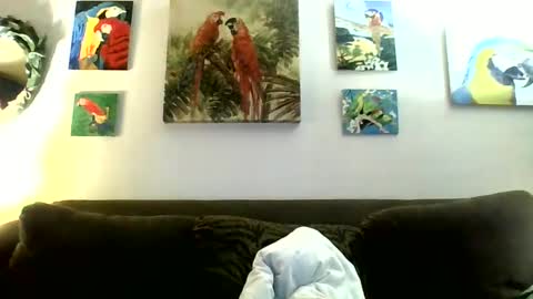 jay-jay1475 online show from 01.12.25