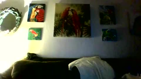 Snapshot of jay_jay1475 chatting on 01.31.26 jay-jay1475 online show from 01.31.26