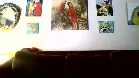 Snapshot of jay_jay1475 chatting on 02.18.26 jay-jay1475 online show from 02.18.26