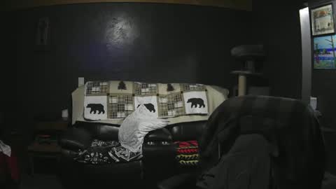 Grand Zaddy or Jay its casual online show from 09.21.25