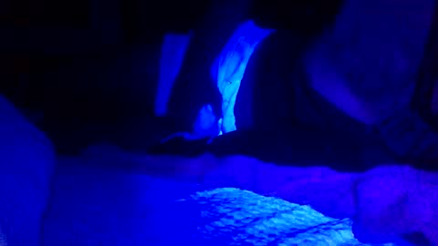 Snapshot of jaysobricked chatting on 02.07.25 Jaysobricked online show from 02.07.25