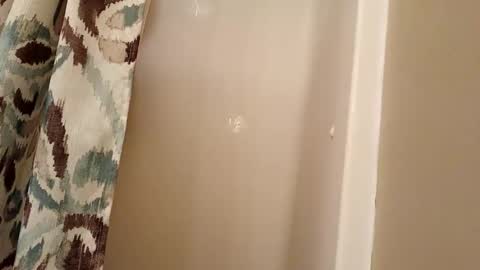 Snapshot of jaywulf22 chatting on 11.04.25 jaywulf22 online show from 11.04.25