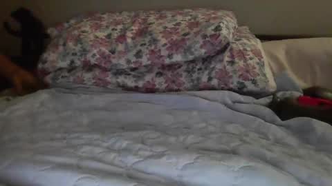 jazzilove online show from 12.15.24