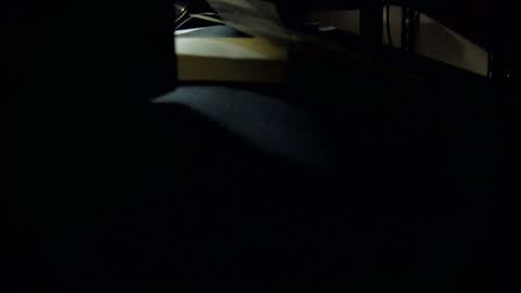 dookie online show from 03.01.25