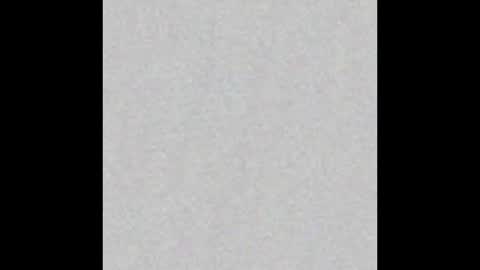 JcMax305 online show from 09.11.25