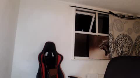 jefflowell_ online show from 01.31.26