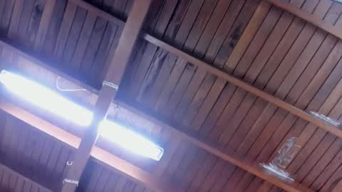 jeicob gagnon online show from 01.28.25