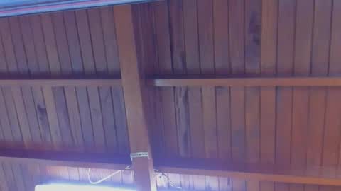 jeicob gagnon online show from 02.21.25