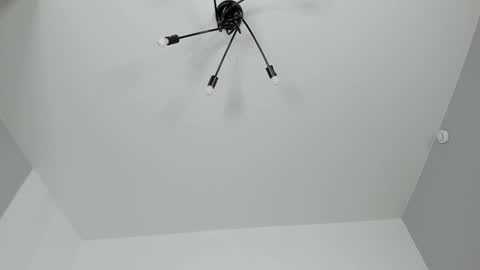 Dolly online show from 02.02.25