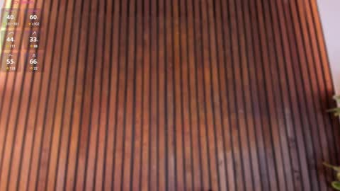     online show from 02.26.25