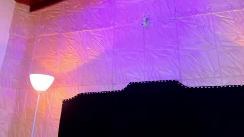  Jenny  online show from 03.26.26