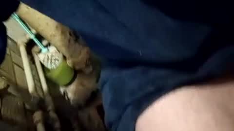 Join me online show from 02.08.25