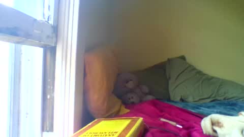 Jenn -  come to my onlyfans online show from 04.17.26