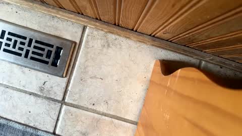 Jeremys room chill and puff one enjoy online show from 09.19.25