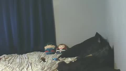 Snapshot of jessicacastro760 chatting on 01.08.26 Sissy Jessica online show from 01.08.26