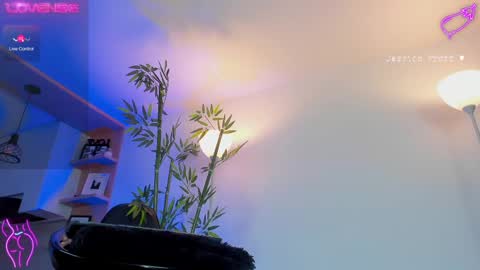 Snapshot of jessicapratt chatting on 02.25.25 Jessica Pratt IG jessicaxpratt online show from 02.25.25