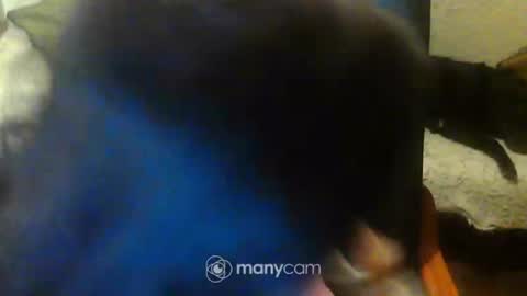 Snapshot of jessjess4you chatting on 02.15.25 jessjess4you online show from 02.15.25