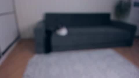 Snapshot of jessrubatte chatting on 11.25.25 NEW VIDEO IN BIO online show from 11.25.25