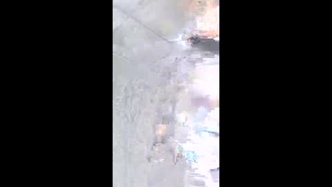 nashbridge1000 online show from 03.04.26