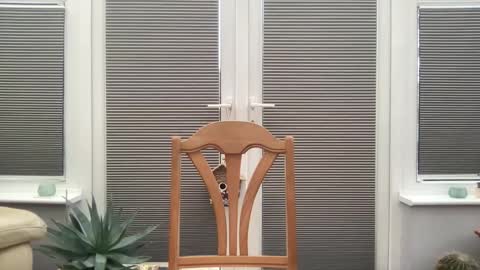 Snapshot of jiggz1986 chatting on 02.10.25 Jigz1986 online show from 02.10.25