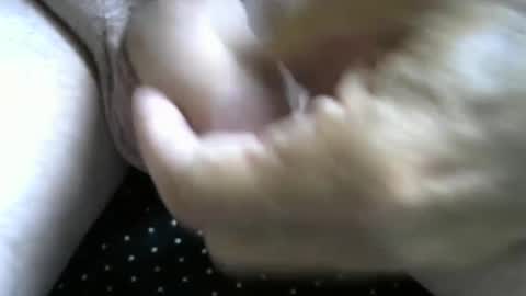 jimismiles online show from 10.07.25