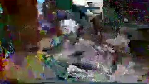 jimm83323458 online show from 10.20.25