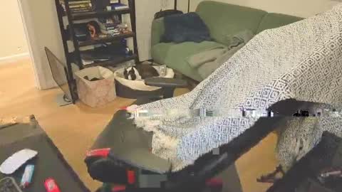 jimmygotya online show from 04.13.26