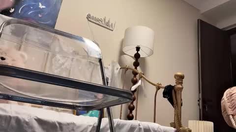 meng meng online show from 02.04.26