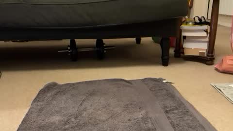 Snapshot of jinker2002 chatting on 12.16.24 jinker2002 online show from 12.16.24