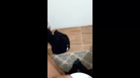 jixldfseepsv online show from 01.17.26