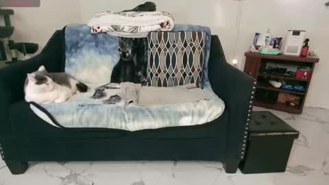 Nicole  Allen online show from 02.13.25