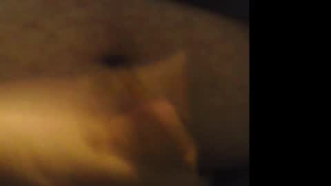 firejoepro2 online show from 02.21.26