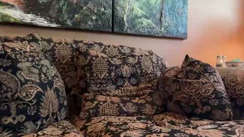 jlk7777 online show from 04.17.26