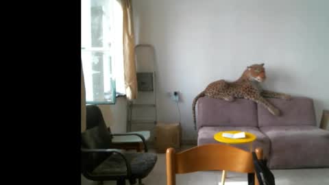 jlmbud online show from 09.29.25