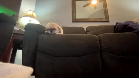 Jimmy online show from 01.21.25