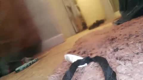 Jimmy online show from 02.23.25