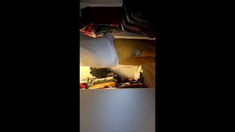 Snapshot of jlovindemsm chatting on 03.02.26 Jimmy online show from 03.02.26