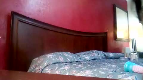 jmbaby online show from 12.04.24