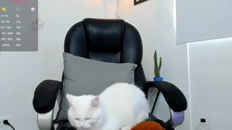 IGJmortton online show from 12.01.25