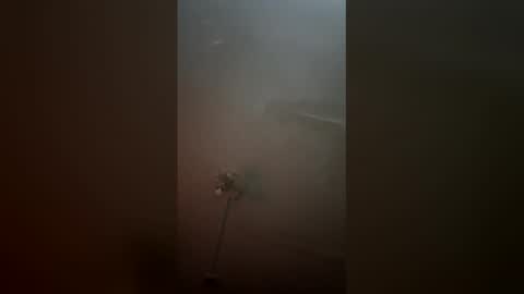 jnoseh23 online show from 04.16.26