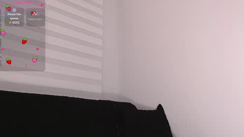 Joan Didion online show from 12.20.24